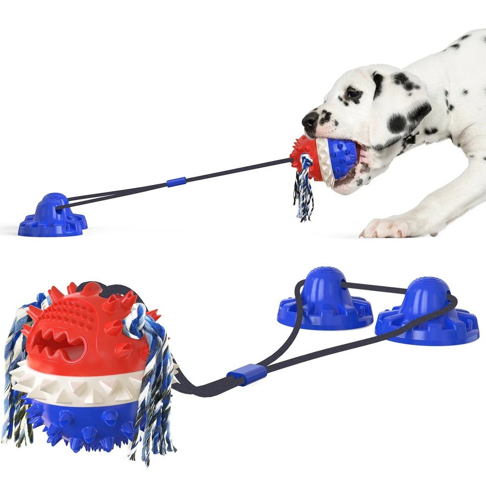 Ozgkee Machine de Jeu électronique pour Animaux de Compagnie avec Porte-clés, Jouet Numérique pour Animaux de Compagnie, Machine de Jeu Portable Ozgkee Machine de Jeu électronique pour Animaux de Compagnie avec Porte-clés, Jouet Numérique pour Animaux de Compagnie, Machine de Jeu Portable