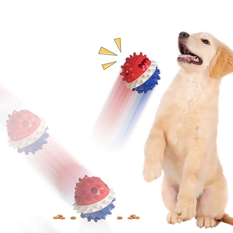 Jouet interactif pour animaux de compagnie qui joue tout seul 4