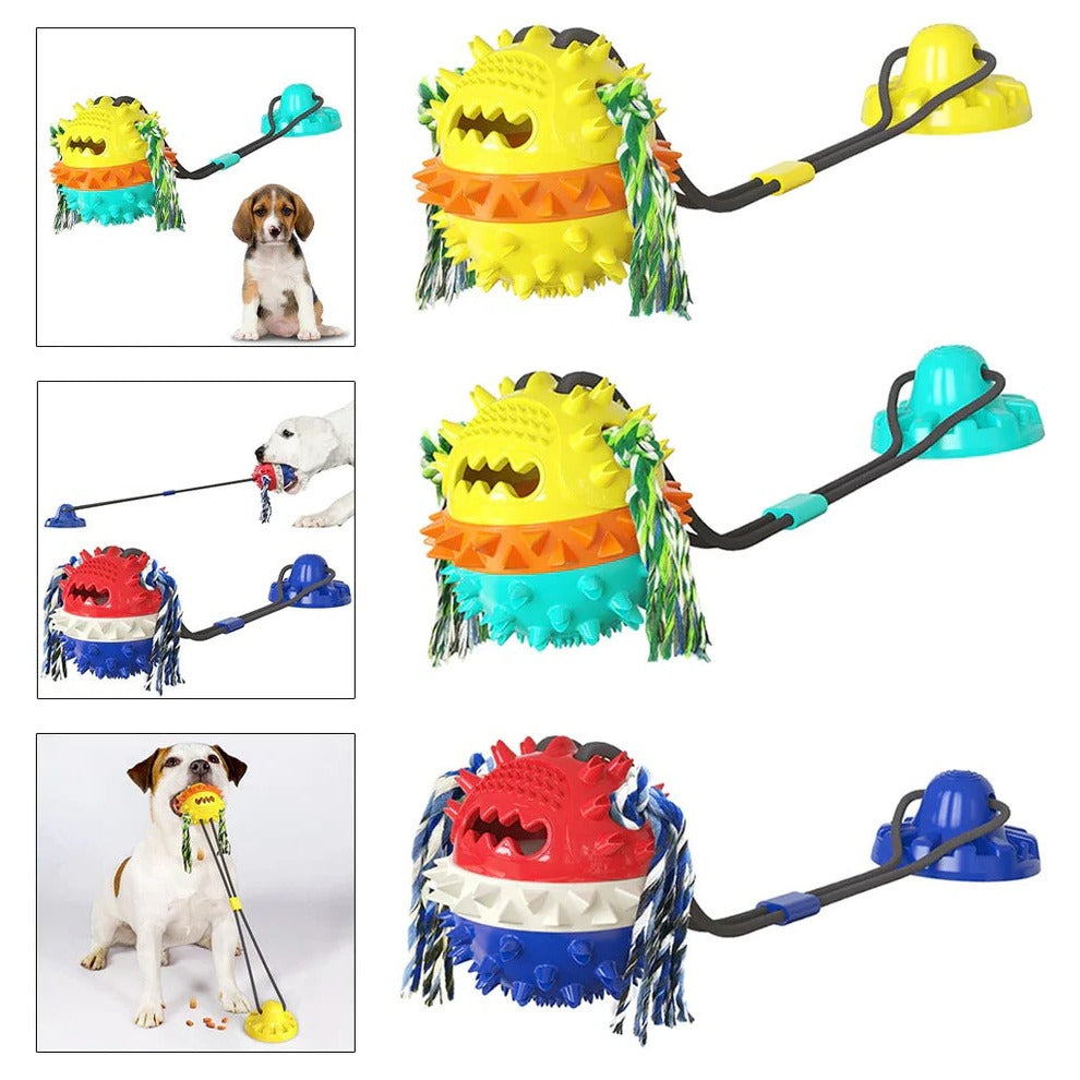 Jouet pour Animaux de Compagnie Virtuel pour Enfants Console de Jeu Portable pour Enfants Charge USB Jouet pour Animaux Cadeaux d'Anniversaire pour Enfants Jouet pour Animaux de Compagnie Virtuel pour Enfants Console de Jeu Portable pour Enfants Charge USB Jouet pour Animaux Cadeaux d'Anniversaire pour Enfants