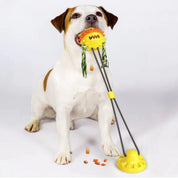 Jouet interactif pour animaux de compagnie qui joue tout seul 7