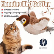 Jouets interactifs pour chats de chasse 1