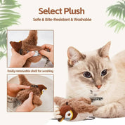 Jouets interactifs pour chats de chasse 2