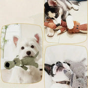 Jouets pour chiens résistants 1