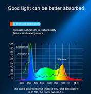 Lampe LED à spectre complet ultra-lumineuse pour aquariums et plantes aquatiques 2