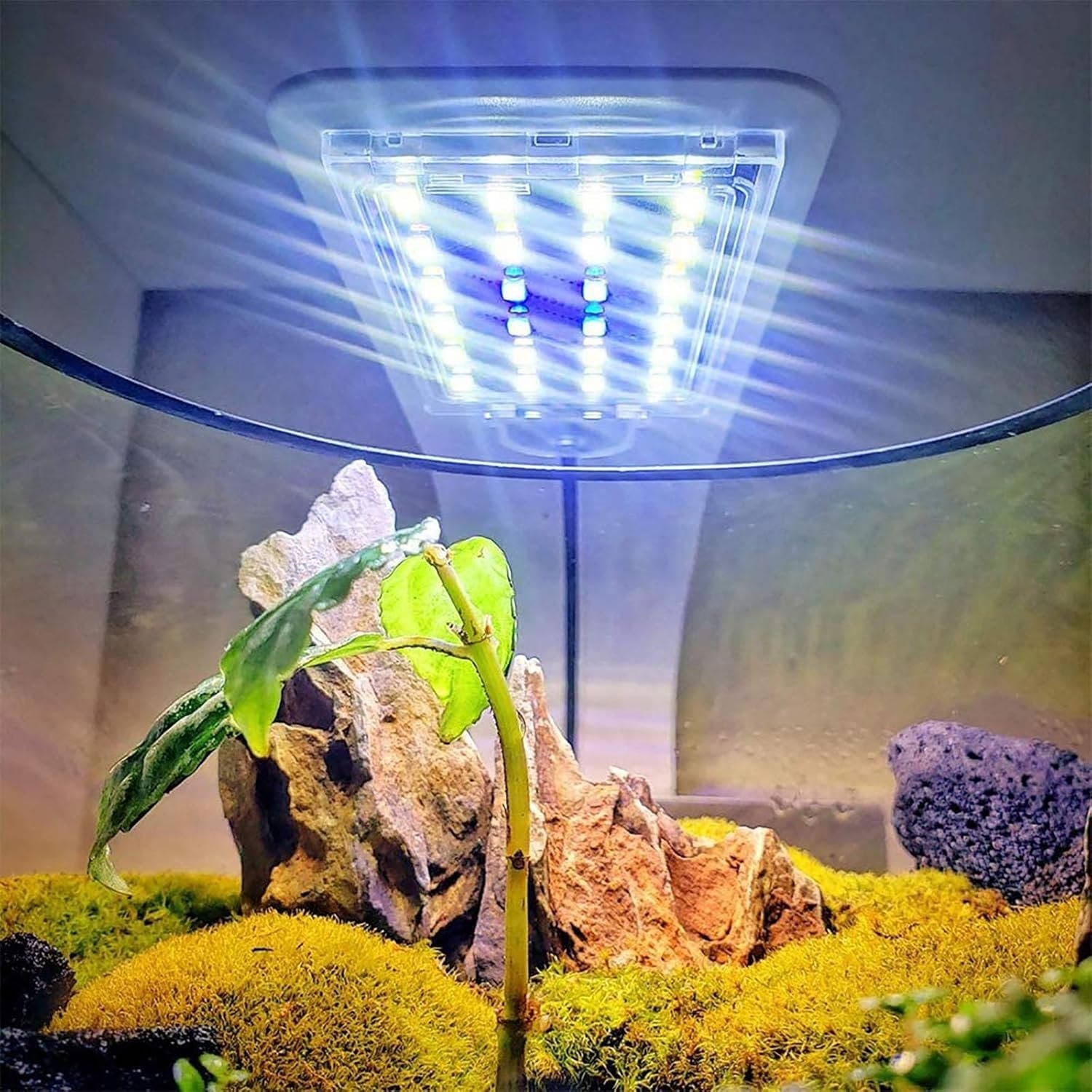 Lampe LED ultra-mince pour aquarium et plantes aquatiques 7