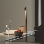 Lampe à faisceau minimaliste 5