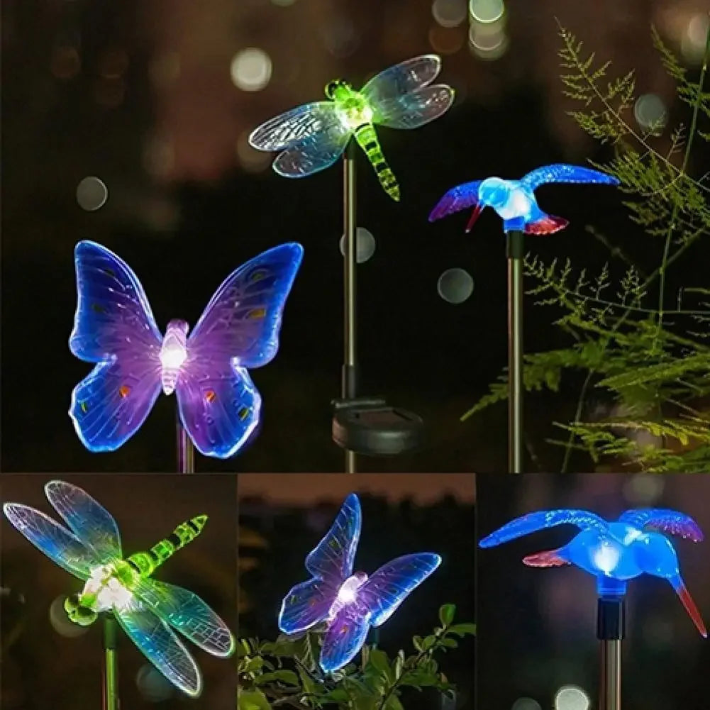 Lampe de jardin solaire avec colibri, papillon et libellule – conception résistante aux intempéries et respectueuse de l'environnement pour un éclairage extérieur charmant 2