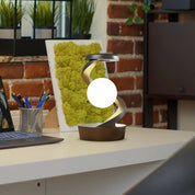 Lampe de table Spirula 2