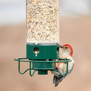 Mangeoire à oiseaux à l'épreuve des écureuils 2