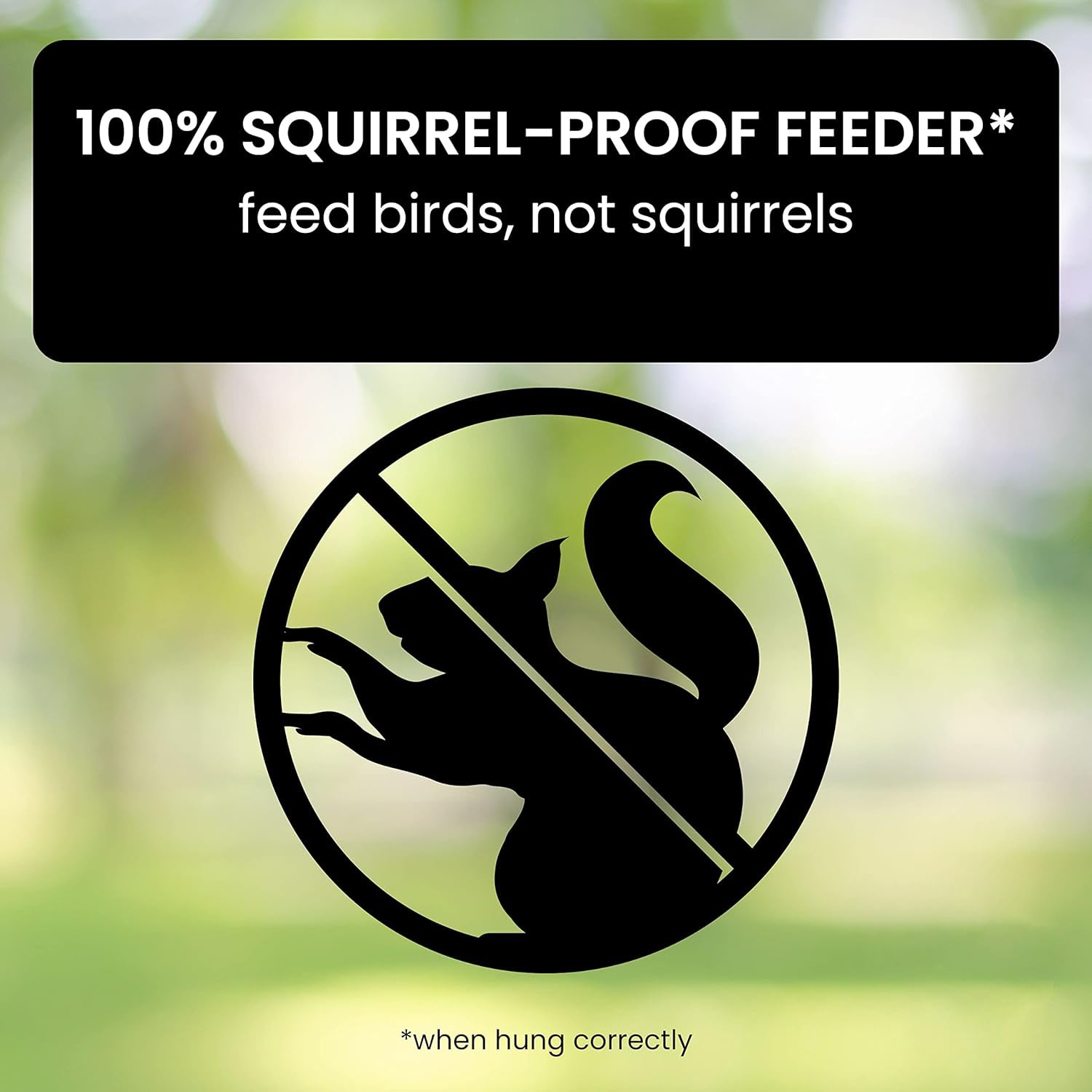 Mangeoire à oiseaux à l'épreuve des écureuils 3