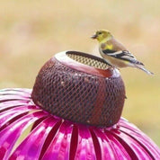 Mangeoire à oiseaux de conufleur 5