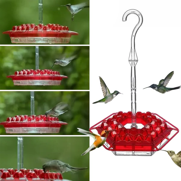 Mangeur de colibri à l'épreuve des fourmis avec 30 ports résistants aux abeilles 0