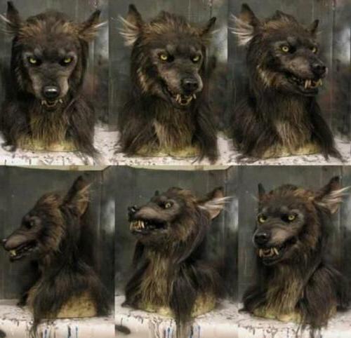 Masque de loup effrayant - Masque costume pour la fête de la mascarade d'Halloween 1