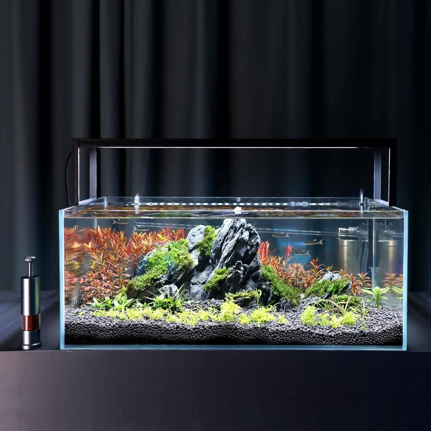 Mini distributeur de nourriture pour poissons d'aquarium 2
