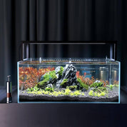 Mini distributeur de nourriture pour poissons d'aquarium 2