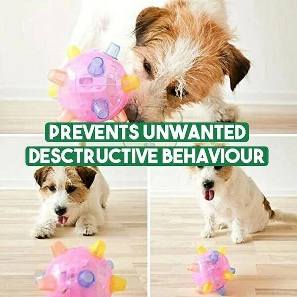 Nouvelle boule d'activation de saut pour chiens 5