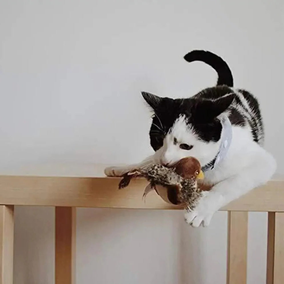 Oiseau sonore interactif pour chat - Amusant avec ses plumes qui battent pour les chats d'intérieur 4