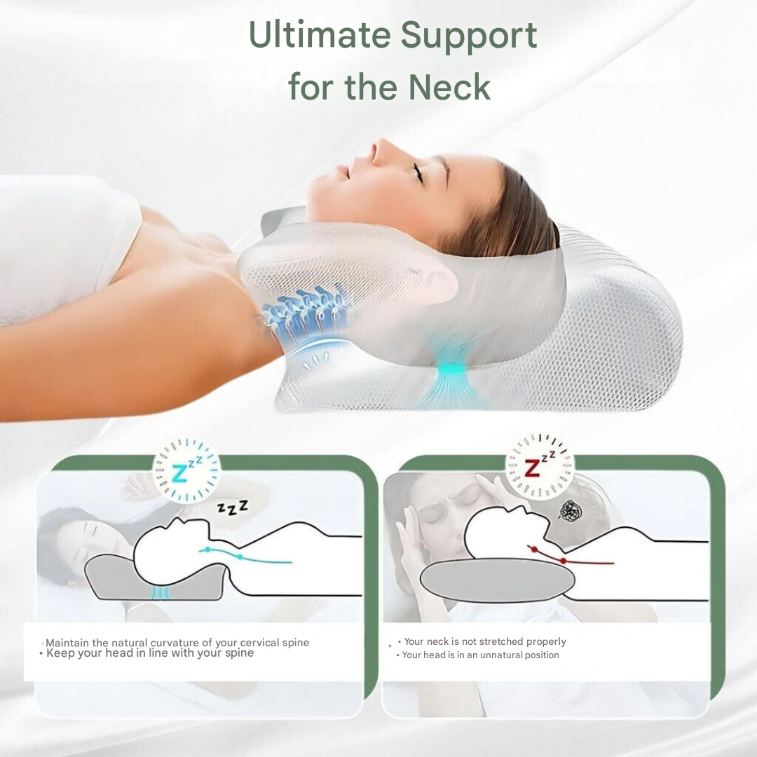 Oreiller orthopédique à mémoire de forme – DreamAlign 7
