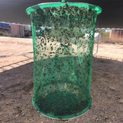 Piège à mouche stable 1