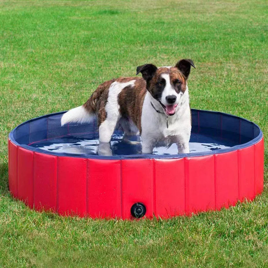 Piscine pliable pour chiens 0