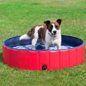 Piscine pliable pour chiens 0