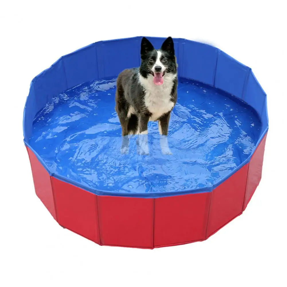Piscine pliable pour chiens 4