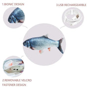 Poisson interactif pour chat rechargeable par USB 3