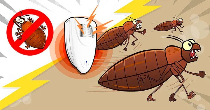Repocher à punaises de lit à ultrasons - Débarrassez-vous des punaises de lit en 48 heures 6