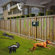 Réputeur ultrasonique du pic pour un contrôle efficace des oiseaux - Débarrassez-vous des pics 6
