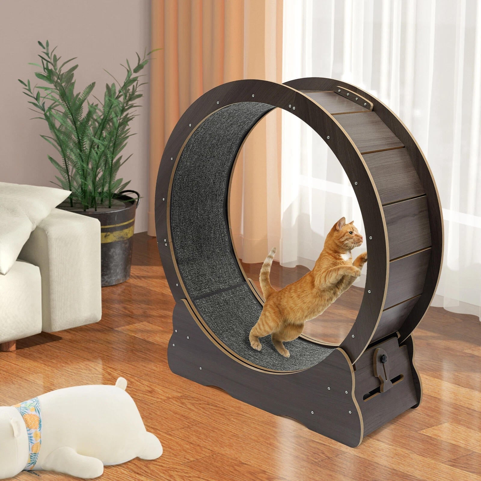 Roue d'entraînement pour chat 0