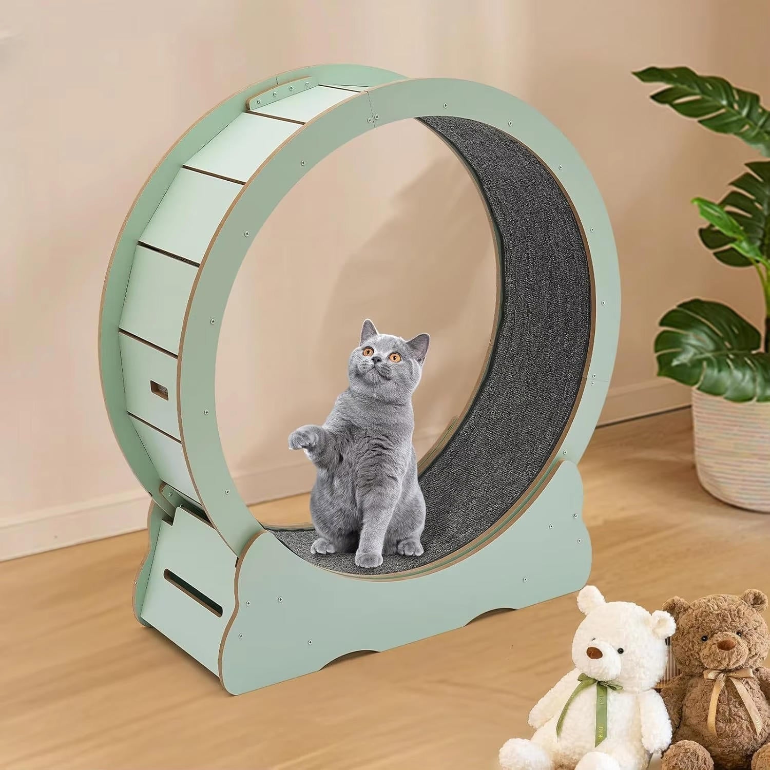 Roue d'entraînement pour chat 2