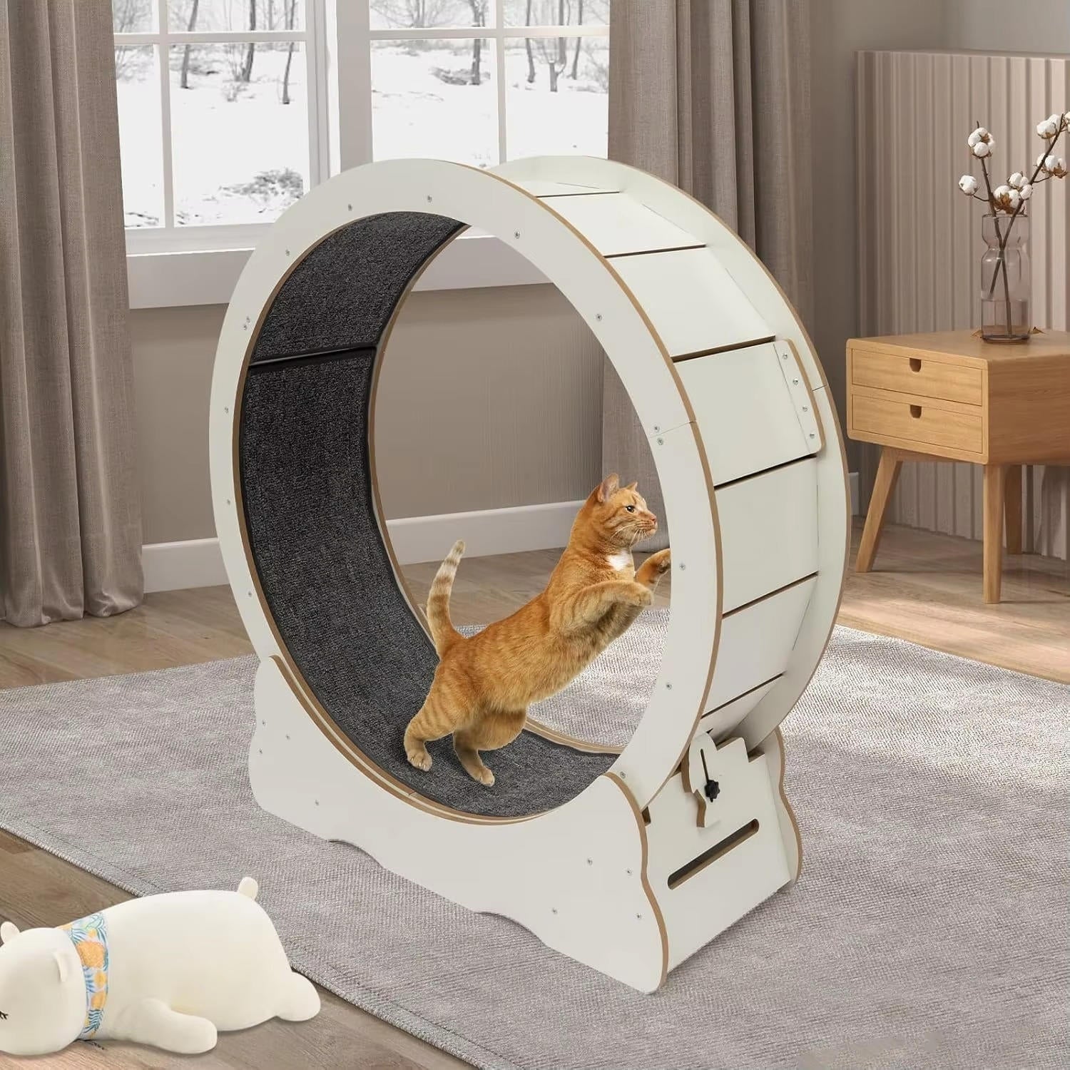 Roue d'entraînement pour chat 3