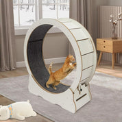 Roue d'entraînement pour chat 3