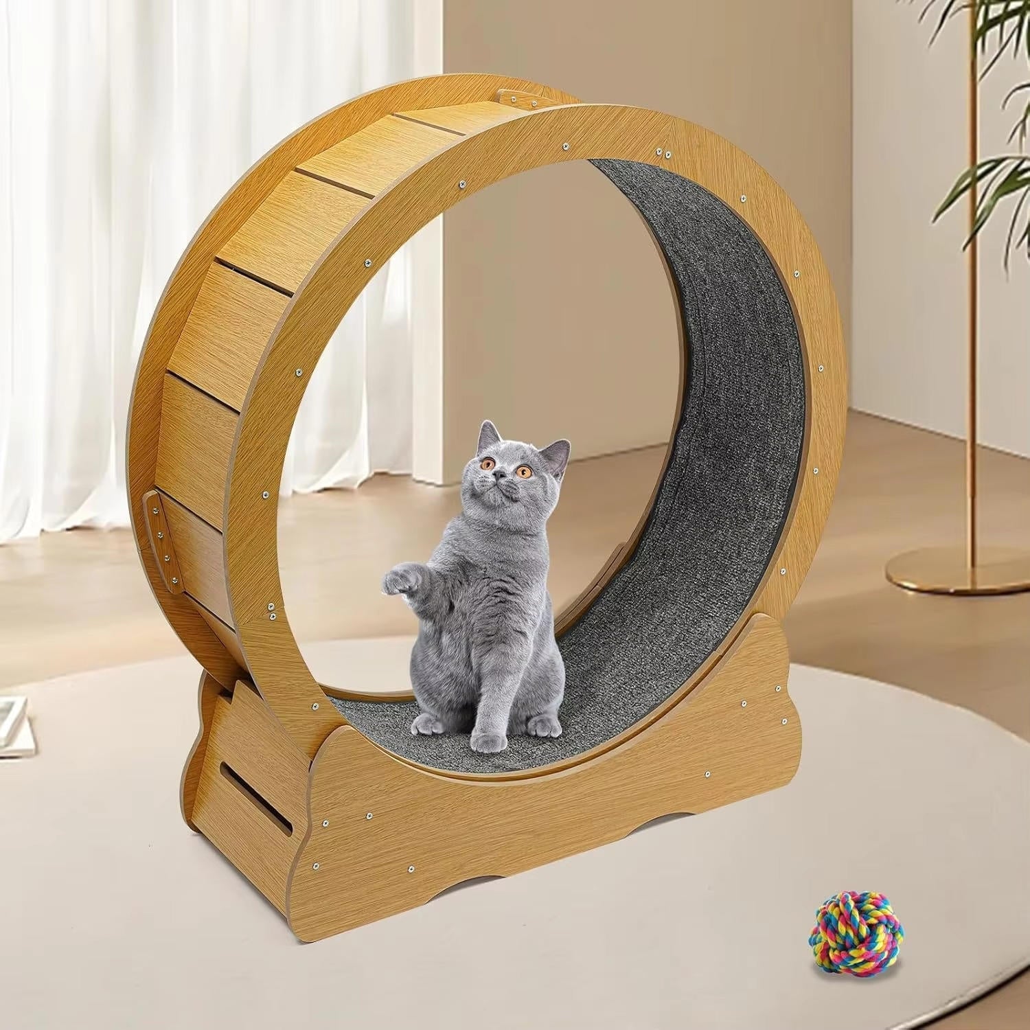 Roue d'entraînement pour chat 4