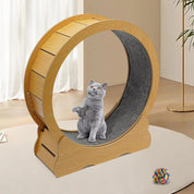 Roue d'entraînement pour chat 4