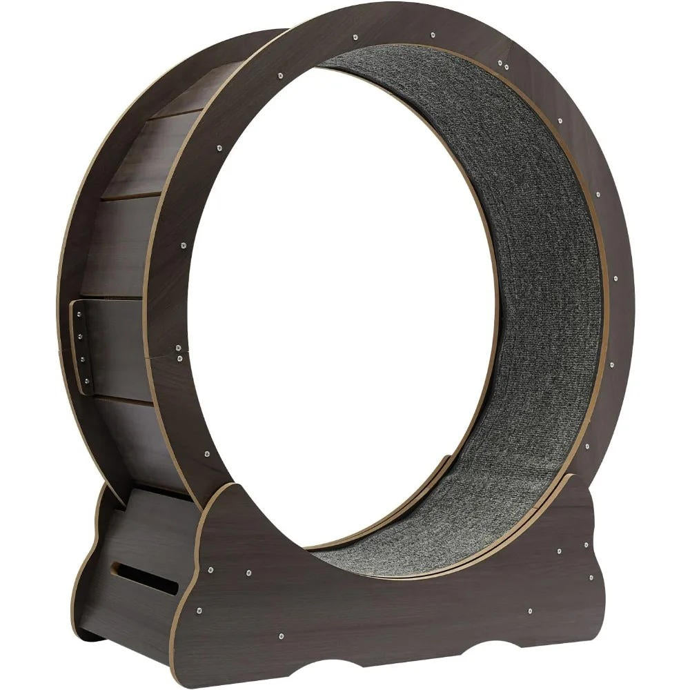 Roue d'entraînement pour chat 6