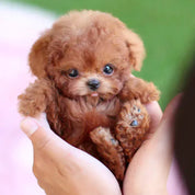 SNGGEPUP - Poupées en peluche réalistes avec des détails réalistes 0