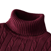 David | Casual turtleneck with chic pattern