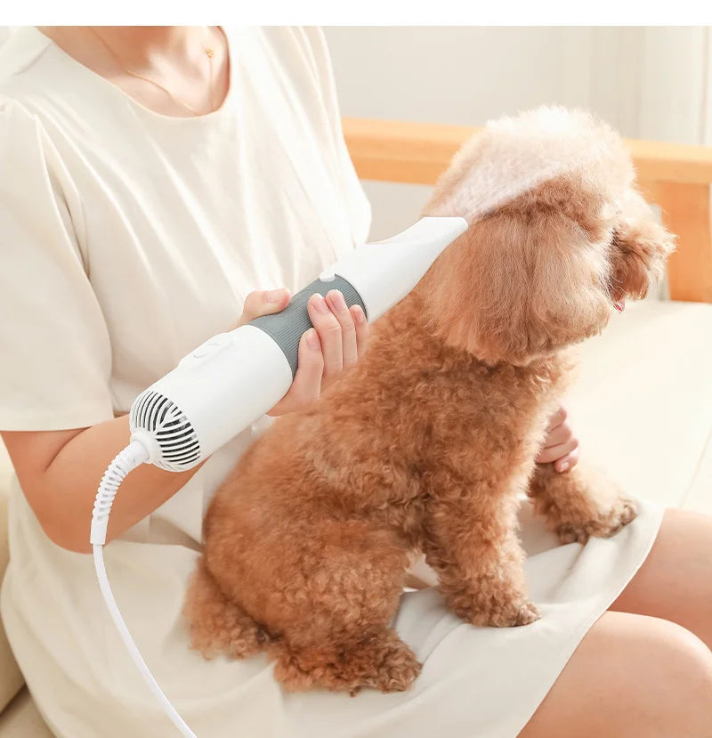 Sèche-cheveux et brosse de toilettage 3 en 1 pour chiens 0