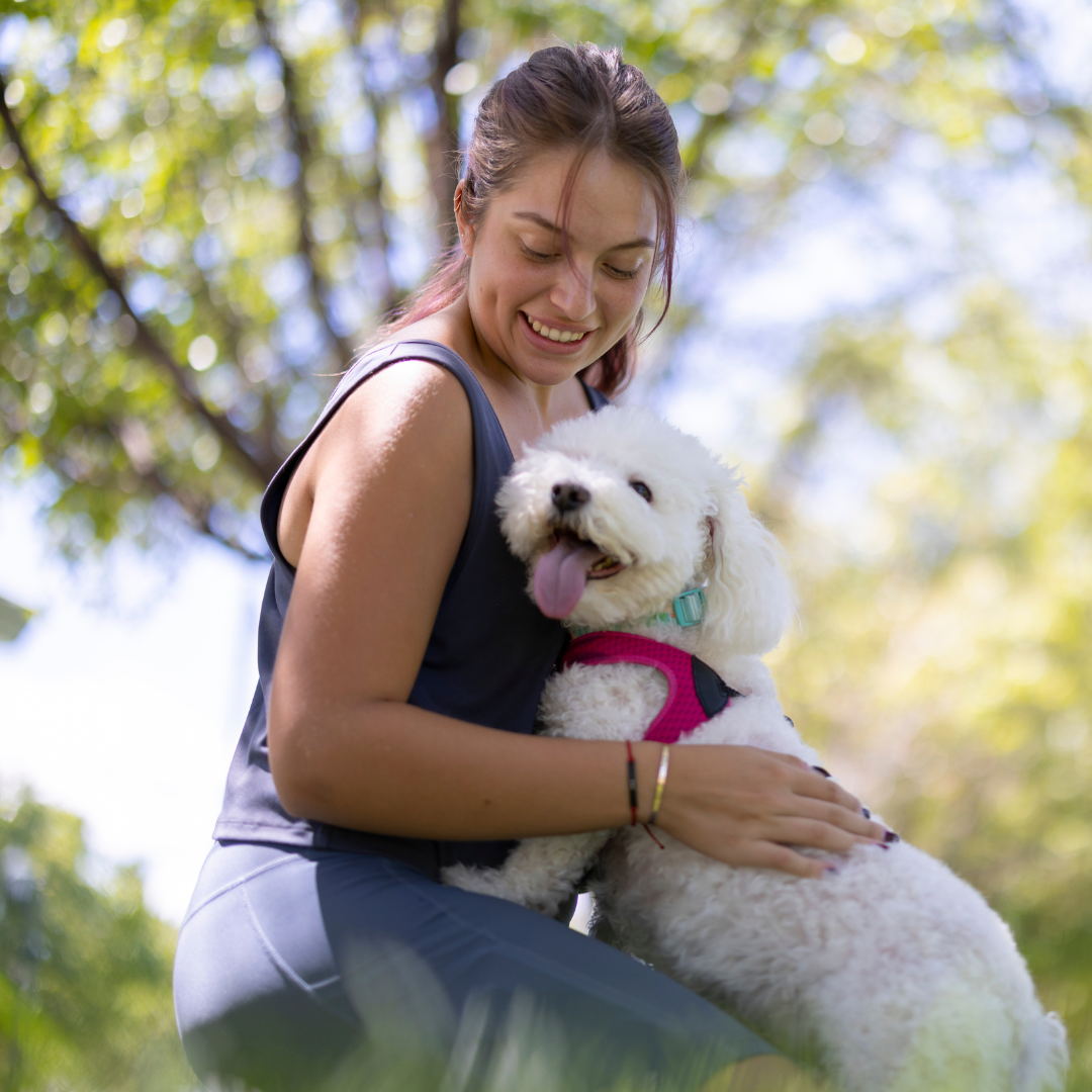 Siège pour chien à installer à l'arrière de la voiture – Siège individuel confortable pour animaux de compagnie 1