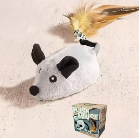 Souris intelligente 4