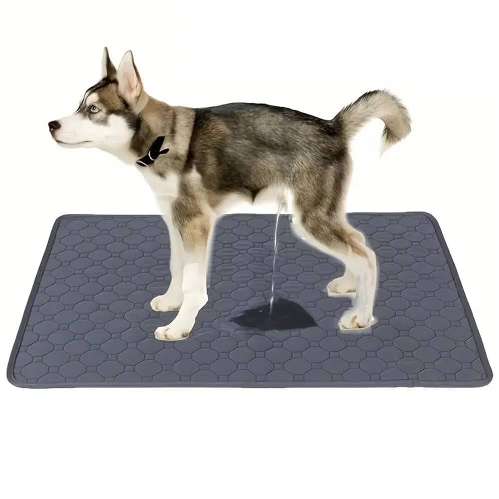 Tapis d'urine jetables et réutilisables pour chiens 0