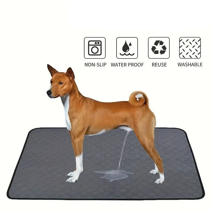 Tapis d'urine jetables et réutilisables pour chiens 1