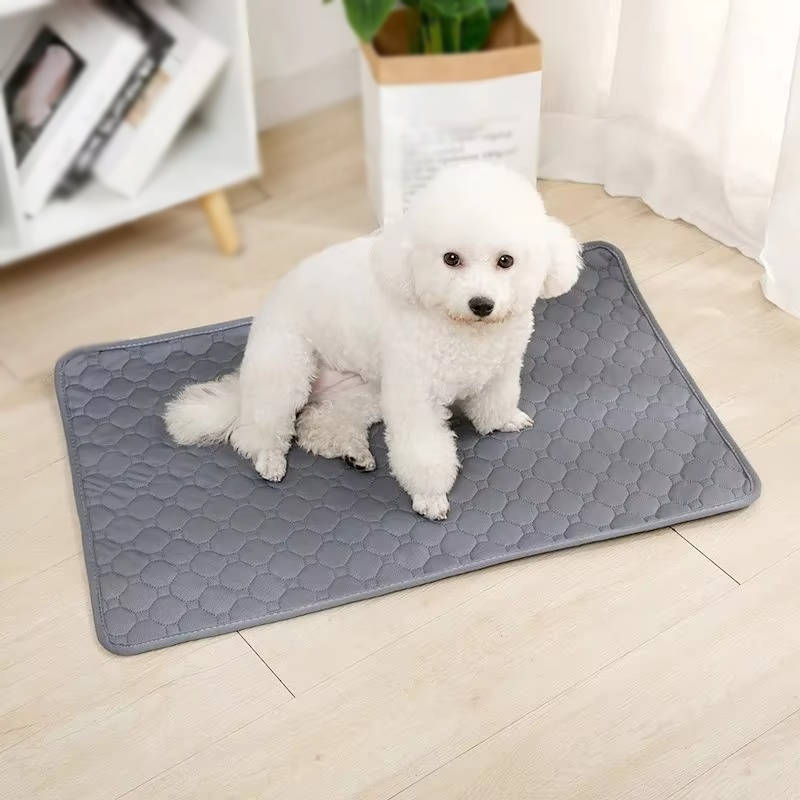 Tapis d'urine jetables et réutilisables pour chiens 4