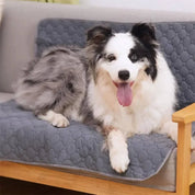 Tapis d'urine jetables et réutilisables pour chiens 6