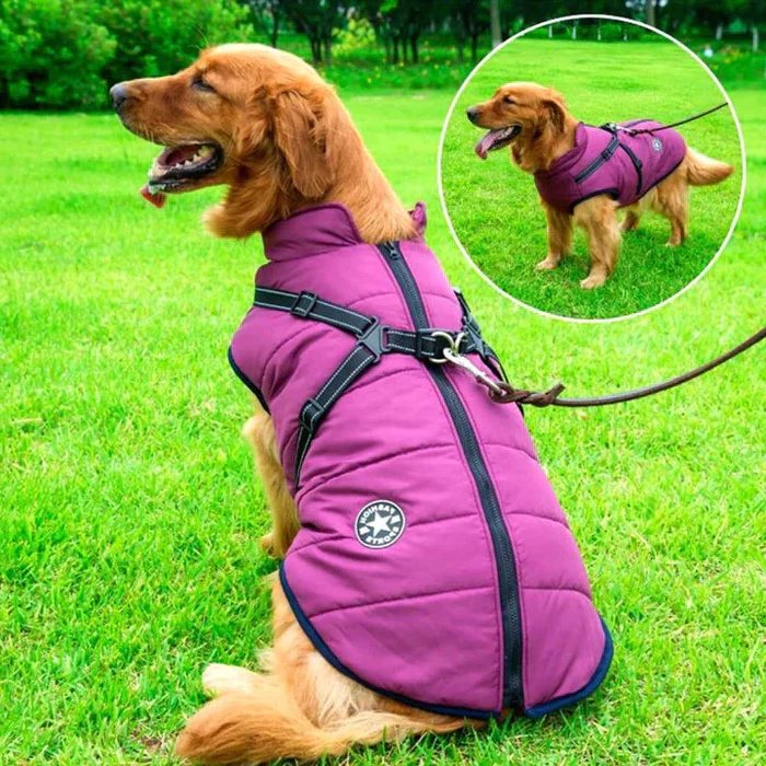 Veste pour chiens d'hiver imperméable - Sherpa-Fleece doublé - harnais intégré 0