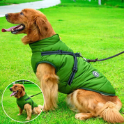 Veste pour chiens d'hiver imperméable - Sherpa-Fleece doublé - harnais intégré 1