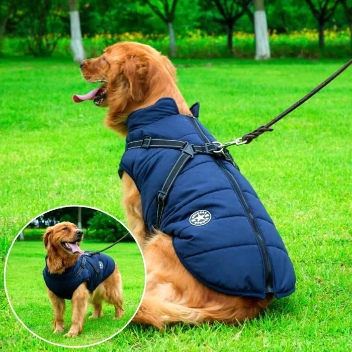 Veste pour chiens d'hiver imperméable - Sherpa-Fleece doublé - harnais intégré 2
