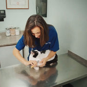 Élodie | Quick Detection Nail Clipper – For Well-Groomed Claws Without Stress