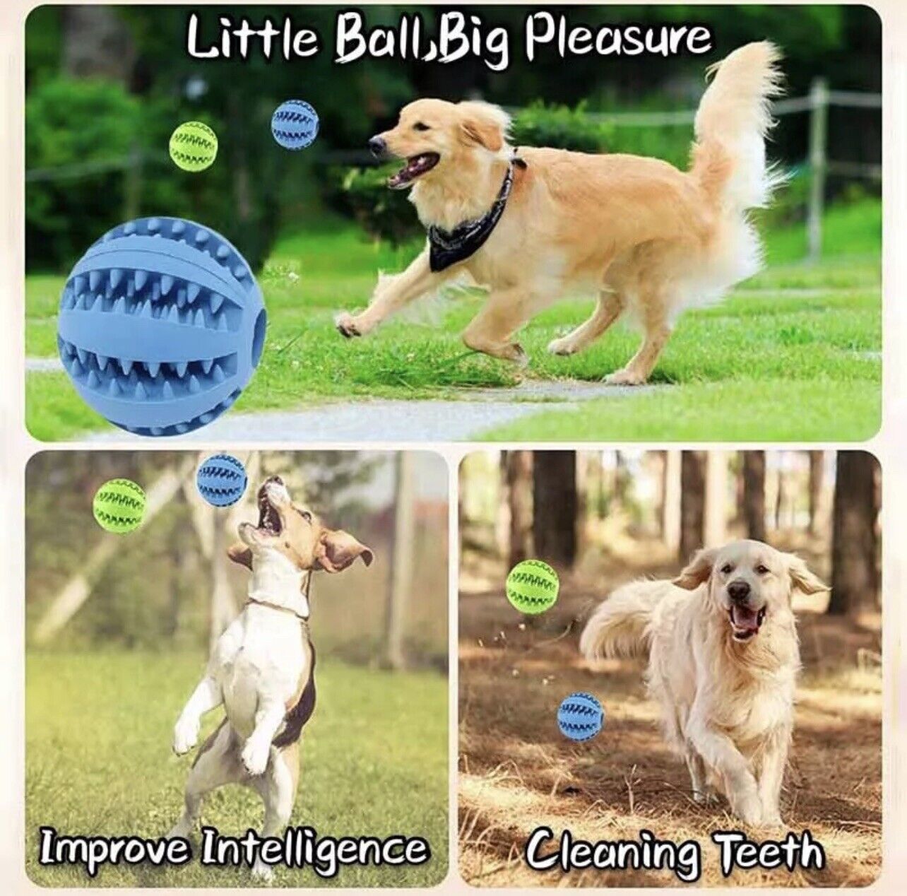 balle en caoutchouc interactive 3